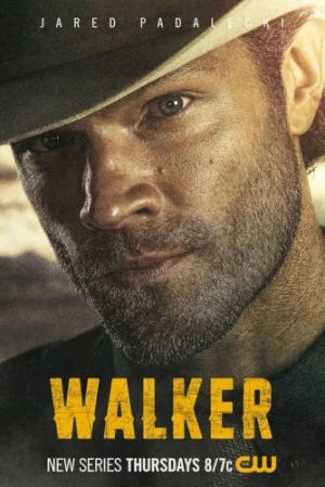 Theatrical Poster