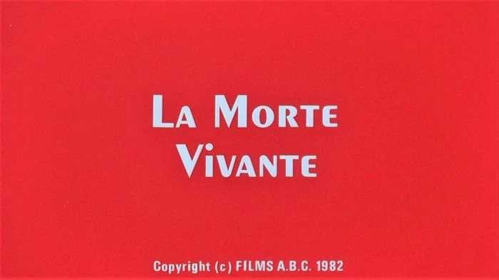 Title Card