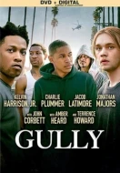 Gully