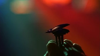The Crystal Scarab