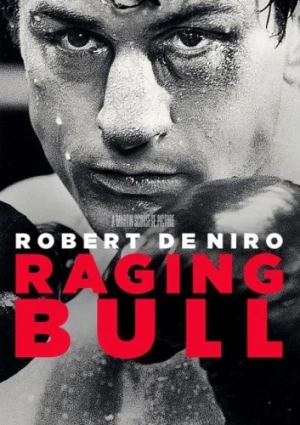 DVD Cover (Metro-Goldwyn-Mayer)