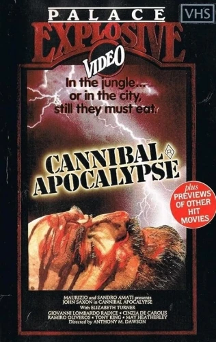 VHS Cover (UK)