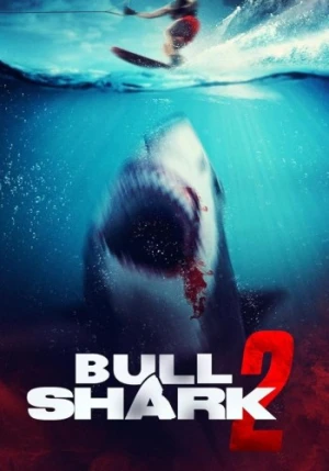 Theatrical Poster