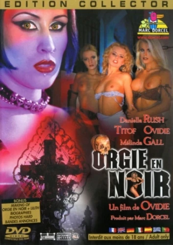 DVD Cover (France)