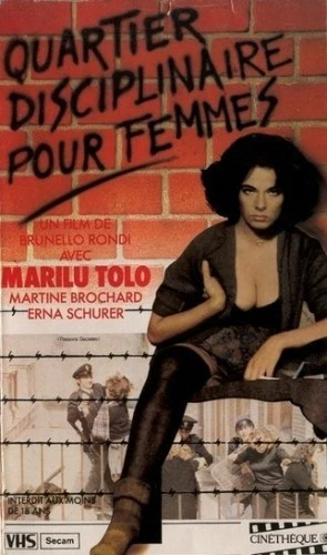VHS Cover (France)