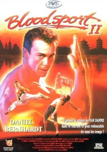 DVD Cover (France)