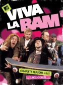 Viva La Bam: Season 4
