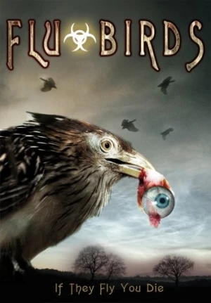 DVD Cover (Alchemy)