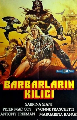 Theatrical Poster (Turkey)