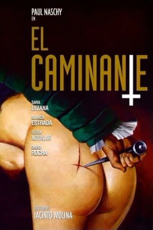 Theatrical Poster (Spanish)
