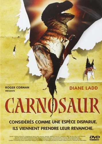 DVD Cover (France)