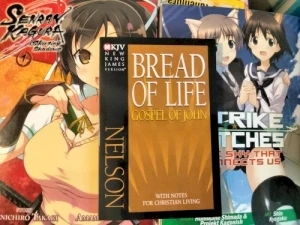 Archive.org Is My Favorite Place To Pirate Books (No But Seriously, It Was So Dumb Of Them To Give Infinite Book Access As It Ruins Their Entire Argument), Imagine If Archive Got Nuked, We Would Lose Like Every Shitnoise Album (Ignore VK Labels Those Hardly Count As Nearly Nobody Downloads From Them Or Even Knows They Exist / I Still Think Its Funny Esent Got Mad At Genetic Trance For Releasing One Of Their Albums, Er, EPs [I Think It Was Actually A Mixtape] On VK) / The Return Of A Pointless HNW Series (Wait, Every HNW Series Is Pointless) Where I Just Do Lazy 8 kbps Remixes Of My Other Walls With Uncropped Photos Of Stuff I Own As The Covers And Long Titles Of Rambling Thoughts / This Track Is Only As Long As It Is So It Can Be In That Discogs List But It Wont Be On Discogs Since Nobody Is Going To Add This And Okosan Is Banned (Also You Must Listen To This Whole Thing Or You're A Fake Himeko Fan) / The Slashes Do Not Denote Multiple Songs/Titles; This Is All One Song/Title