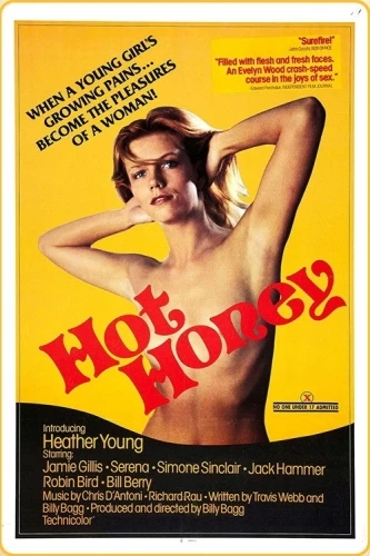 Theatrical Poster