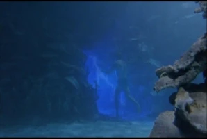 Tears of the Sea