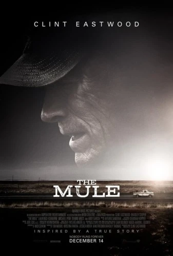 Theatrical Poster