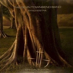 Synchestra
