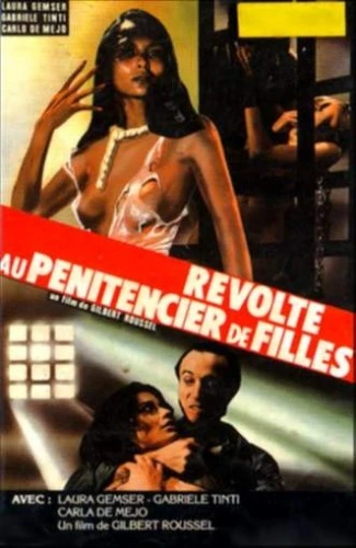 VHS Cover (France)