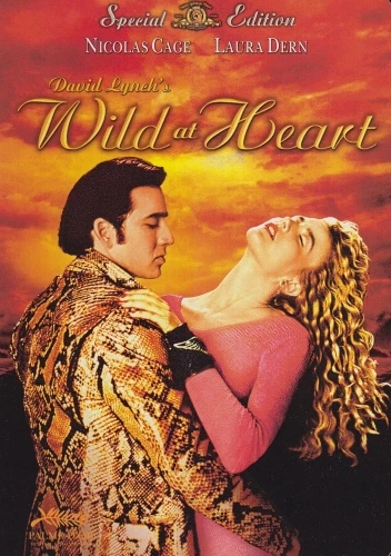 DVD Cover (Metro-Goldwyn-Mayer)