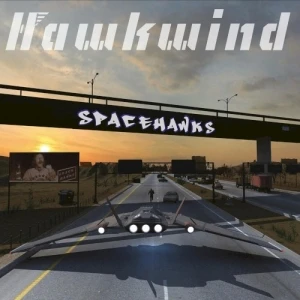 Spacehawks
