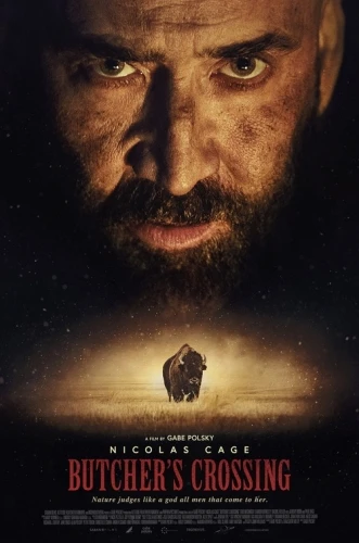 Theatrical Poster