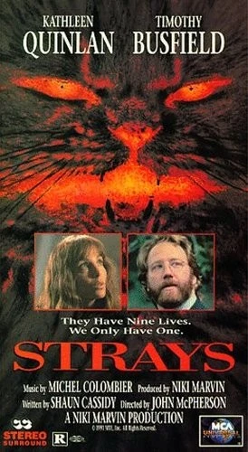 VHS Cover (Universal)