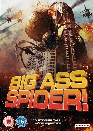 DVD Cover (UK)
