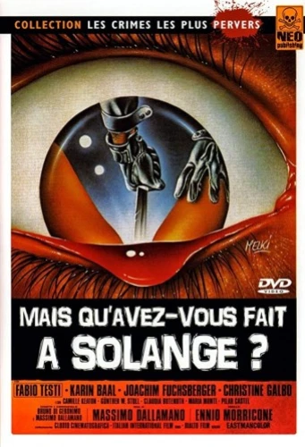DVD Cover (France)