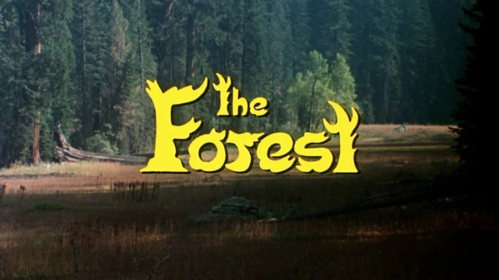 Title Card