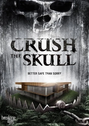 DVD Cover (Breaking Glass Pictures)