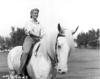 Jo Morrow
