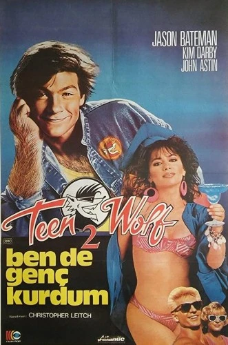 Theatrical Poster (Turkey)