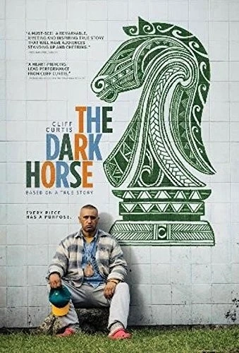 DVD Cover (Broad Green Pictures)