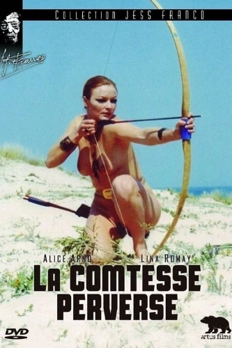 DVD Cover (France)