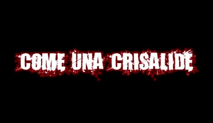 Title Card