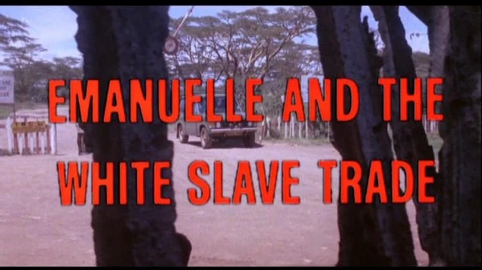 Title Card