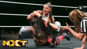 WWE NXT TakeOver: Brooklyn 4 Aftermath