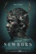 Newborn