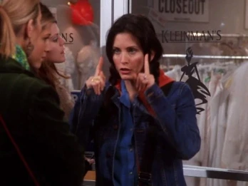 The One with the Cheap Wedding Dress