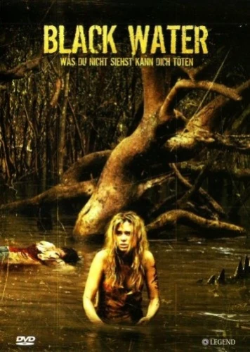 DVD Cover (Germany)