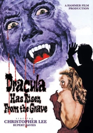 DVD Cover (Warner Brother)