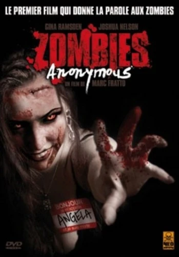 DVD Cover (France)