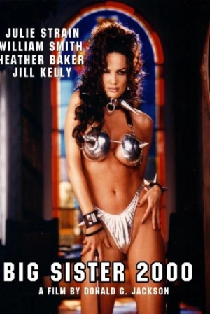 DVD Cover (Light Source Films)