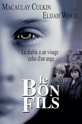 Theatrical Poster (France)