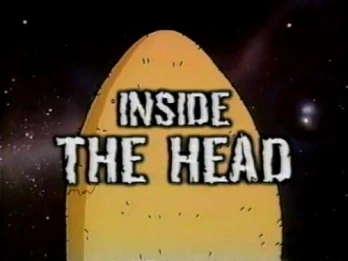 Inside the Head
