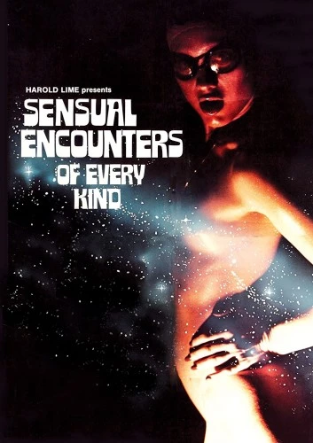 DVD Cover (Vinegar Syndrome)