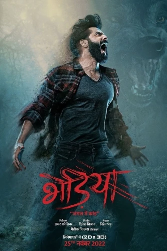 Theatrical Poster (India)