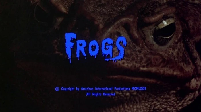 Title Card