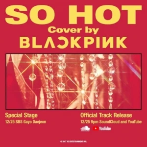 SO HOT (THEBLACKLABEL remix)