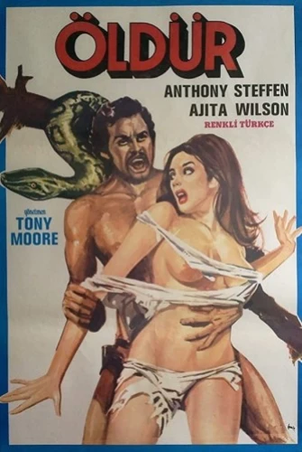 Theatrical Poster (Turkey)