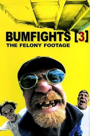 DVD Cover (Indecline)